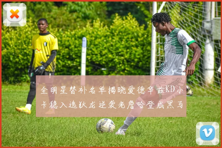 全明星替补名单揭晓爱德华兹KD小卡稳入选狄龙逆袭老詹哈登成黑马